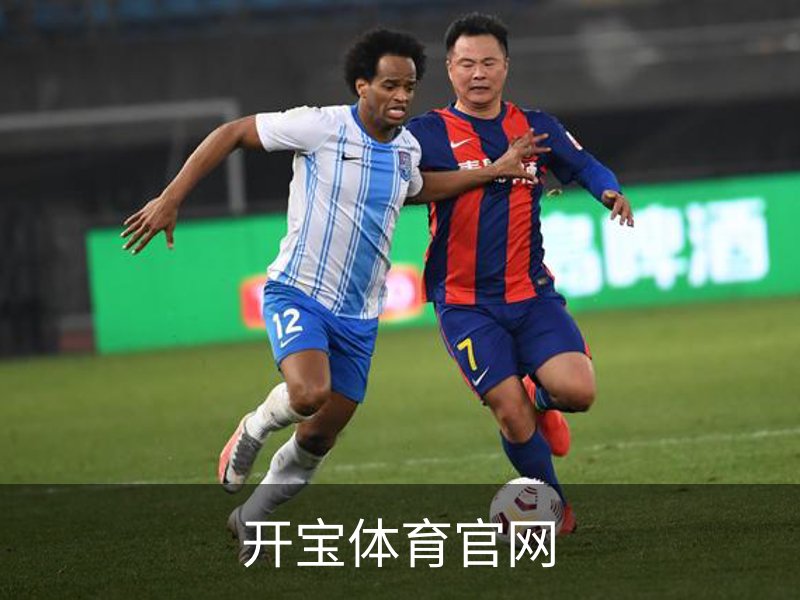 开宝体育官网概况